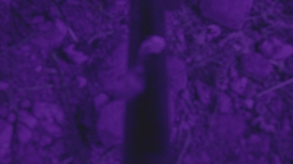 Vlcsnap 2026 03 11 10H59M53S737